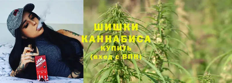 купить   Волгореченск  маркетплейс клад  МАРИХУАНА White Widow 